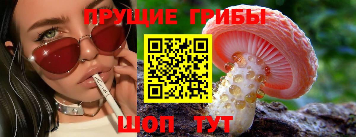Рубцовск  Псилоцибиновые грибы GOLDEN TEACHER  Галлюциногенные грибы Magic Shrooms  Вход с VPN 